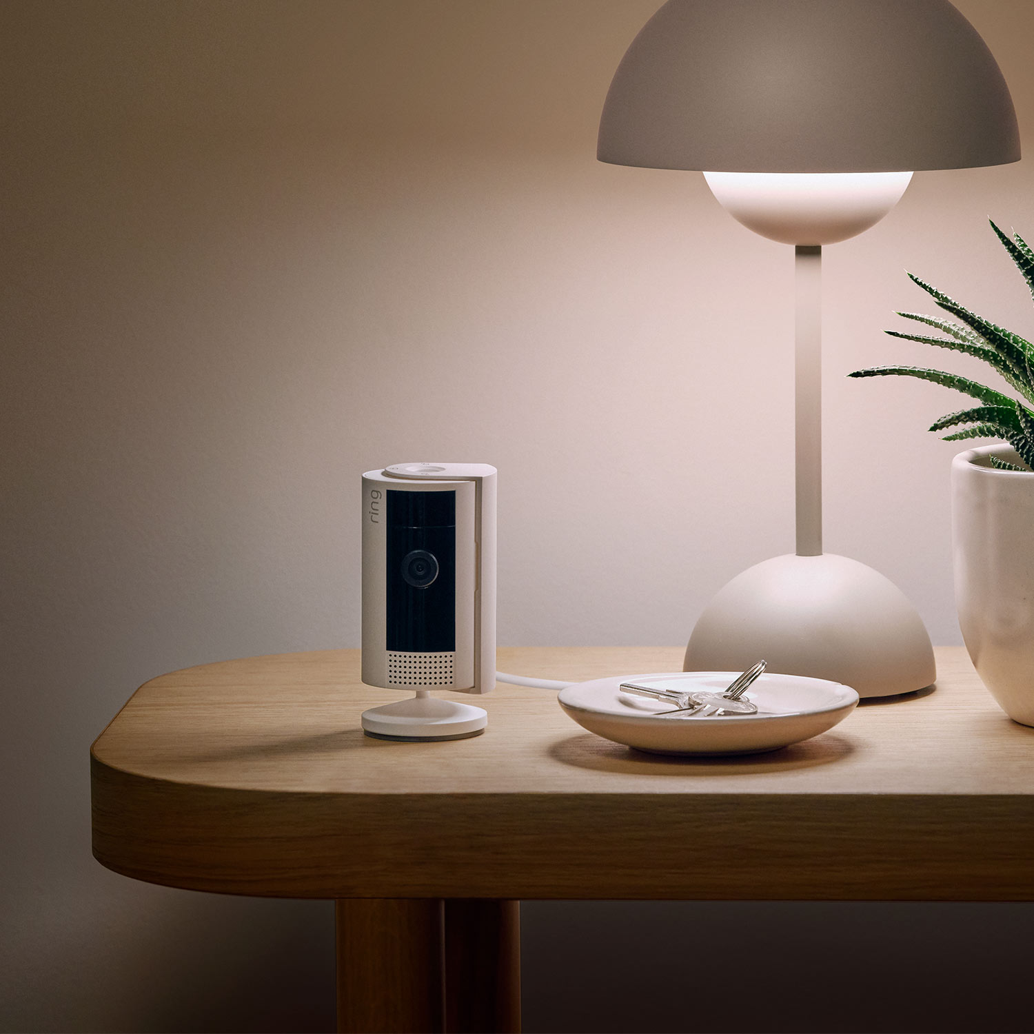 Pet Deluxe Kit - Ring Indoor Cam 2nd Gen on a wooden side table next to a lamp, plant, and a dishing holding keys in a softly lit room.
