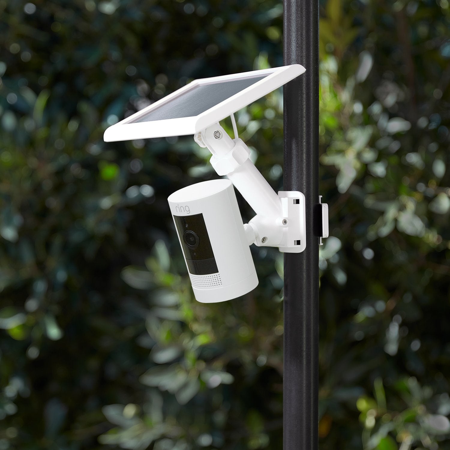 Pole Mount for Solar Panels and Cams - White Ring Pole Mount for Solar Panels and Cams mounted on a black, adjustable pole with greenery in the background.