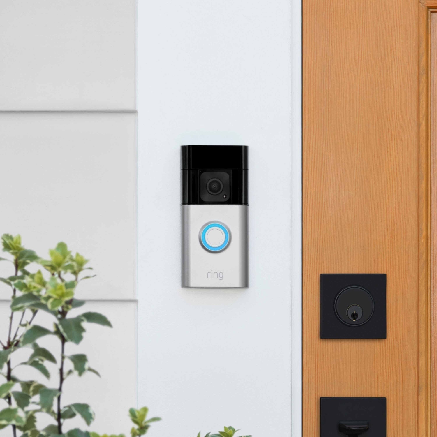 Whole-Home Starter Bundle - Ring Battery Doorbell Plus with blue-lit button mounted beside wood door, part of the Whole Home Starter Bundle.