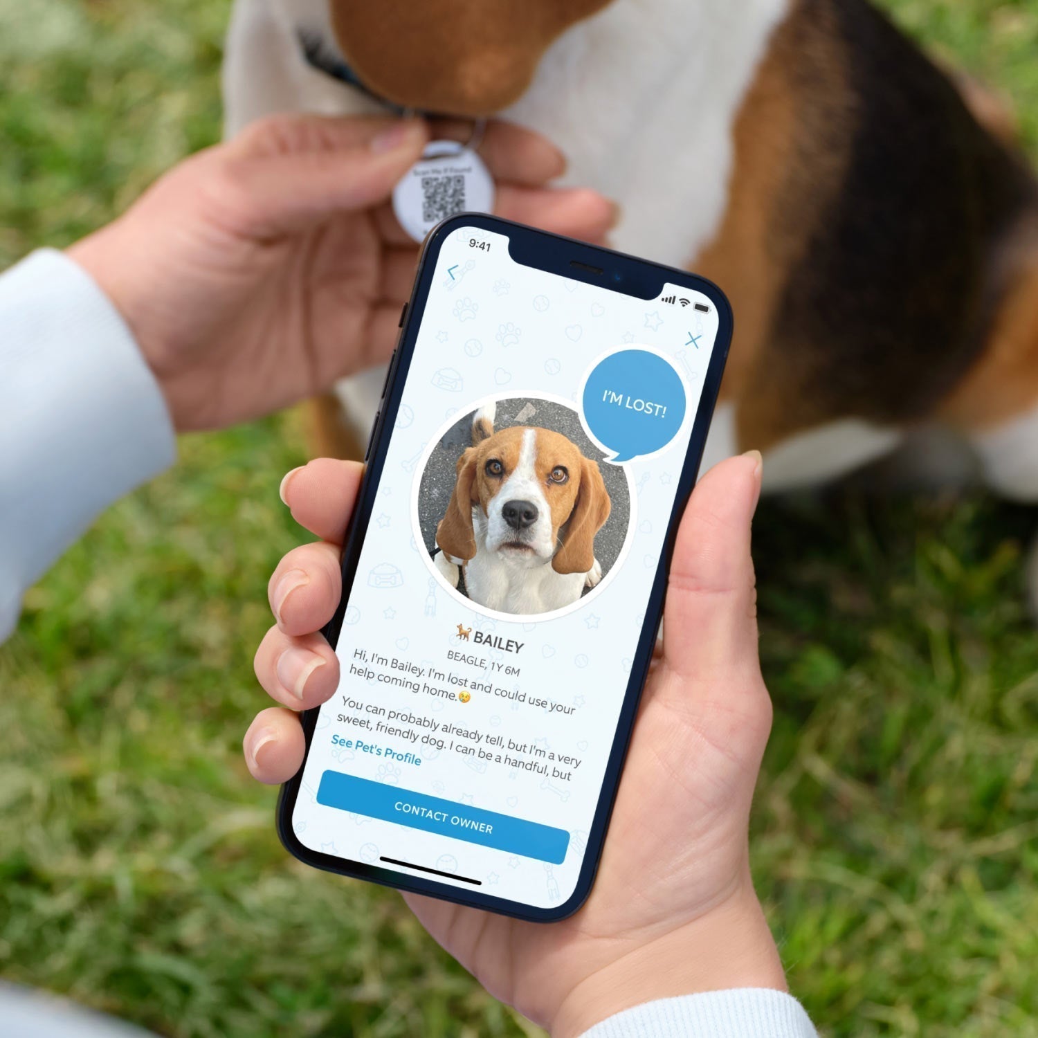 3-Pack Pet Tag - Person holding smartphone showing lost dog alert from Ring Pet Tag, with dog wearing QR code tag sitting nearby.