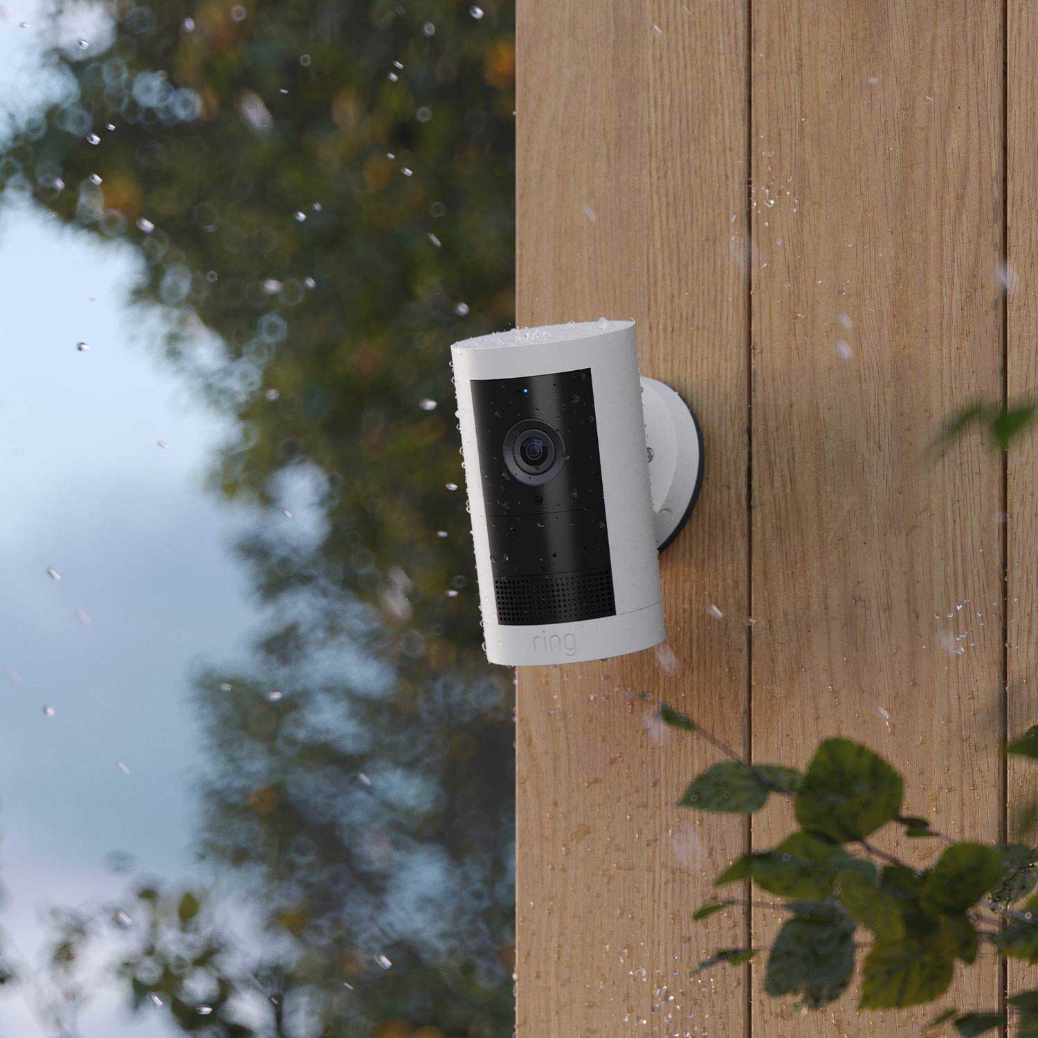 Whole Home Basic Kit (Outdoor Cam Plus Battery + Battery Doorbell + Alarm Security Kit, 5-Piece) - A white Outdoor Cam Plus Battery mounted onto a wooden wall.