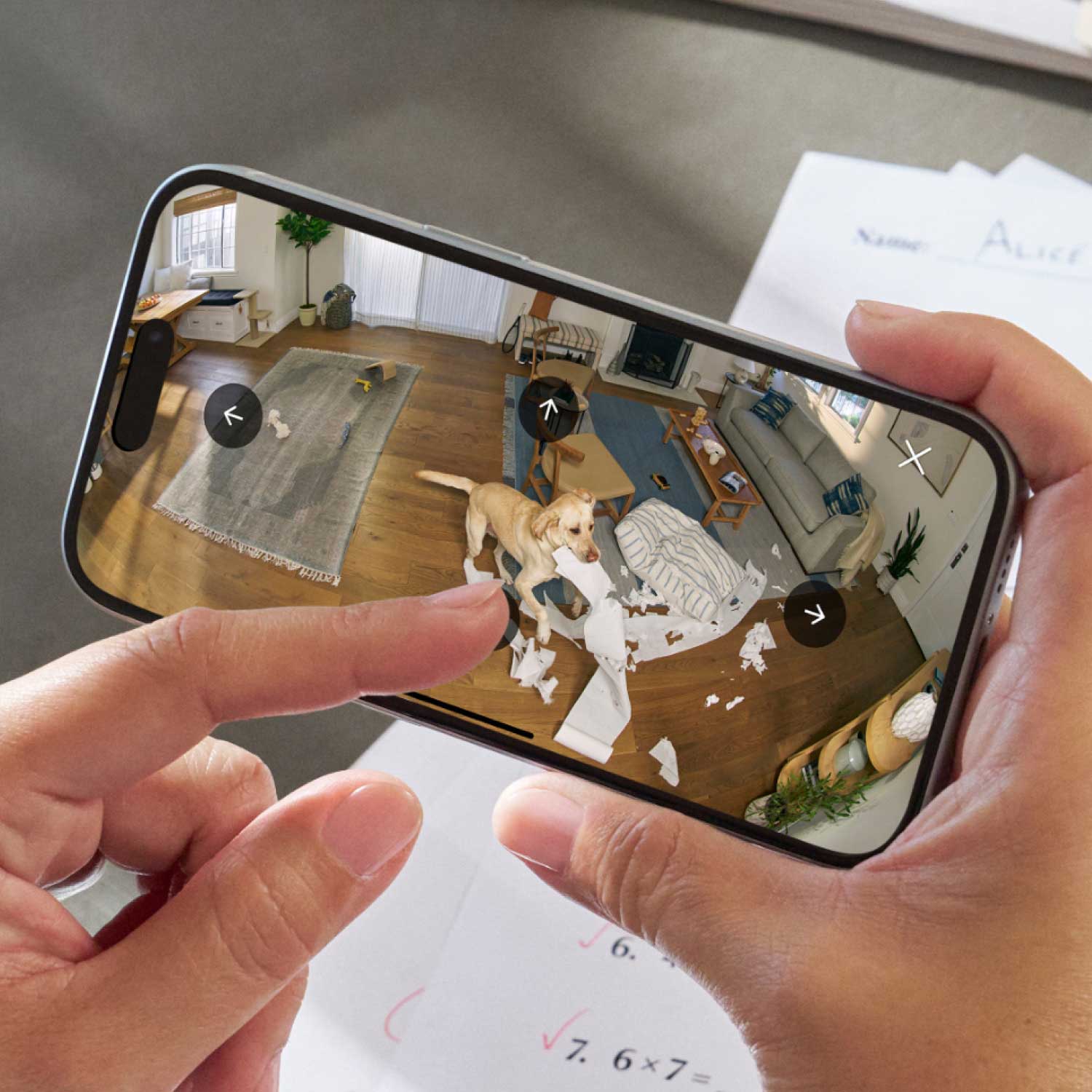 Outdoor Cam Plus Battery + Pan-Tilt Indoor Cam - A smart phone depicting a dog ripping up paper in a house.