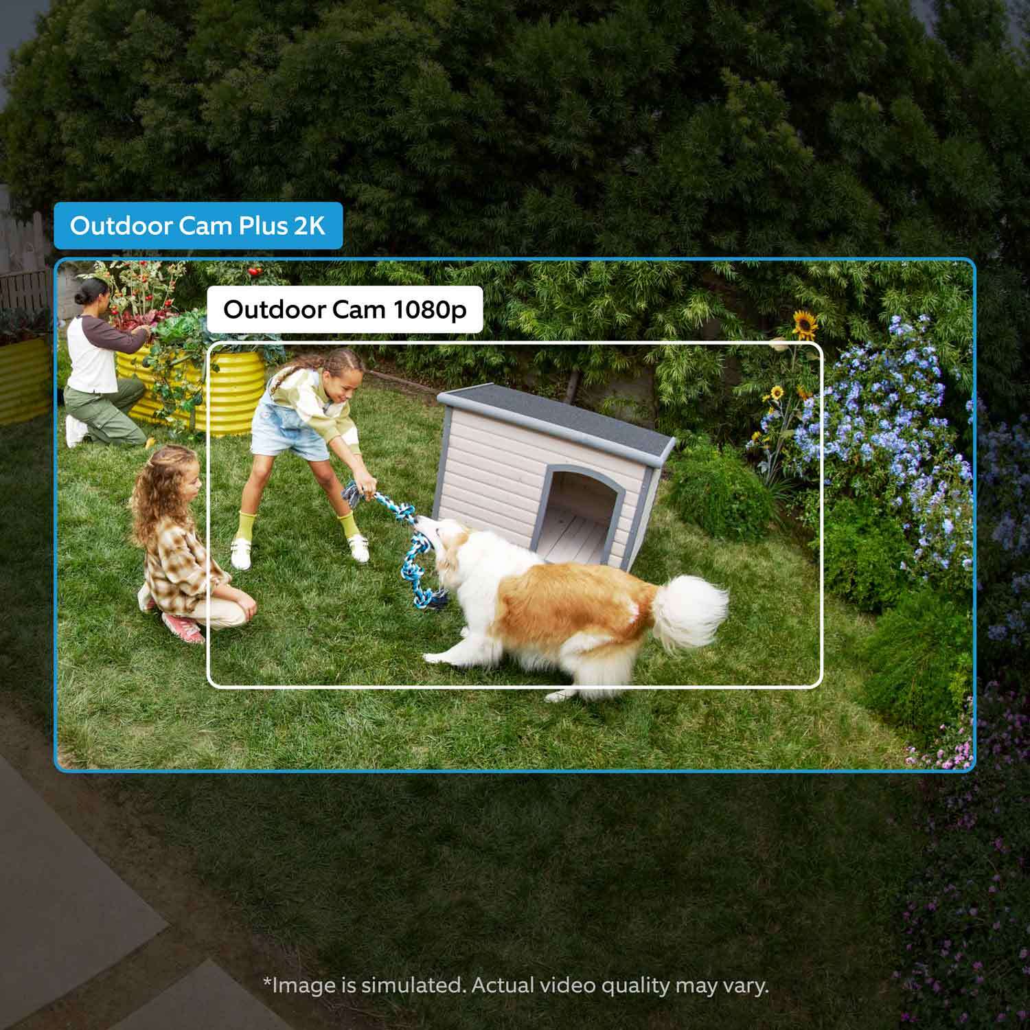 Outdoor Cam Plus (Featuring Retinal 2K)  - Battery:A girl playing tug-of-war with a dog shown in an outdoor cam 1080 p resolution in comparison to outdoor cam plus 2k, which shows a wider field of view.